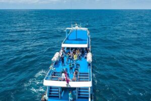 Phuket To Phi Phi Island By Phi Phi Cruiser - Include Pickup Transfer - On Board the Phi Phi Cruiser: Comfort, Toilets, and Where to Sit