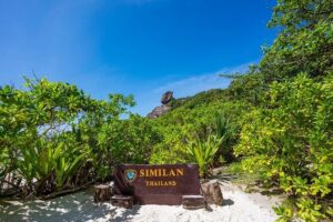 Phuket to Similan Islands Snorkeling Tour - Getting moving: Phuket pickup and the 11–12 hour day rhythm