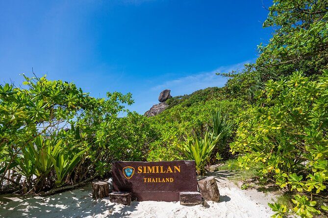Phuket to Similan Islands Snorkeling Tour - Getting moving: Phuket pickup and the 11–12 hour day rhythm