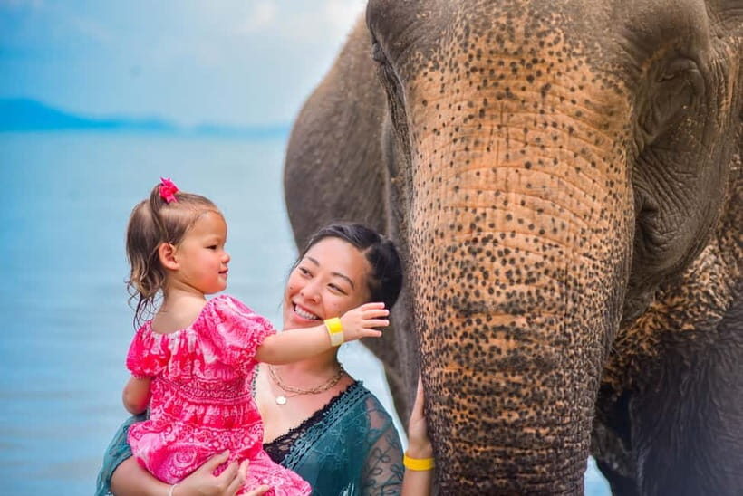 Phuket:Beach walk with elephants, rain & care. 2.5 hours - Key things you’ll remember from Lily Elephant Camp