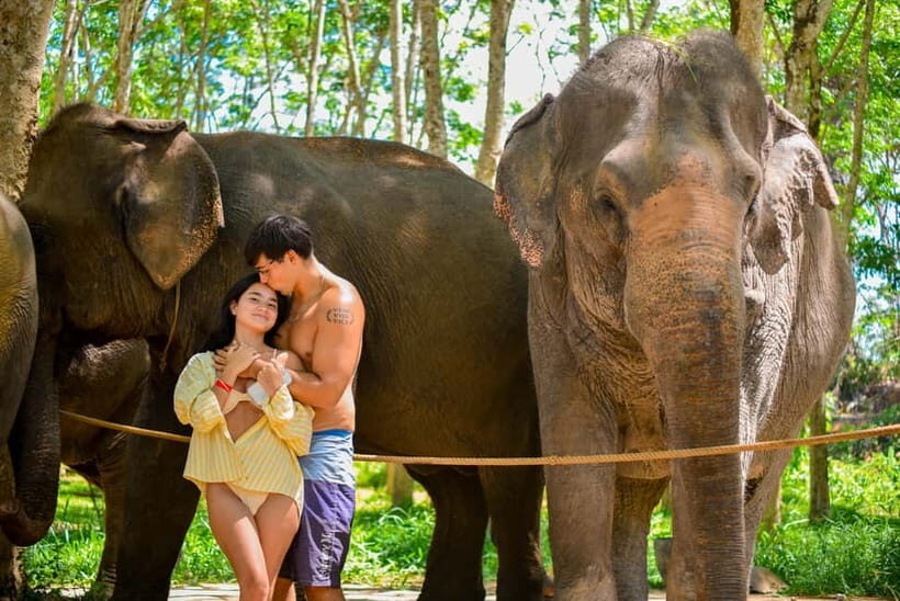 Phuket:Beach walk with elephants, rain & care. 2.5 hours - Lily Elephant Camp on Phuket’s coast: a day built around care