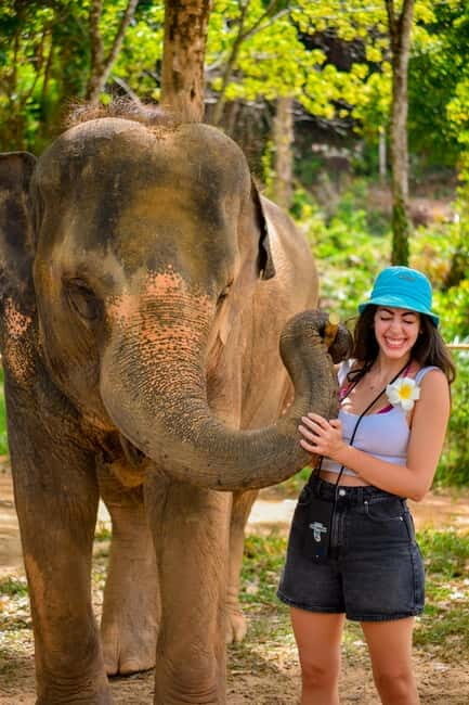 Phuket:Beach walk with elephants, rain & care. 2.5 hours - Rainshower with elephants: refreshing, but bring the right mindset