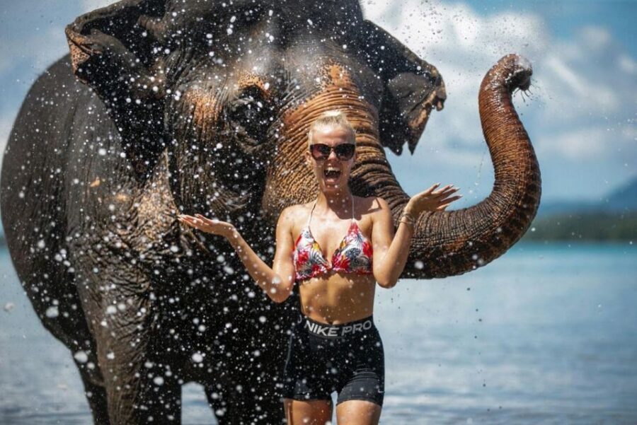 Phuket:Beach walk with elephants, rain & care. 2.5 hours - Making herb balls and elephant supplement food: where the “care work” happens