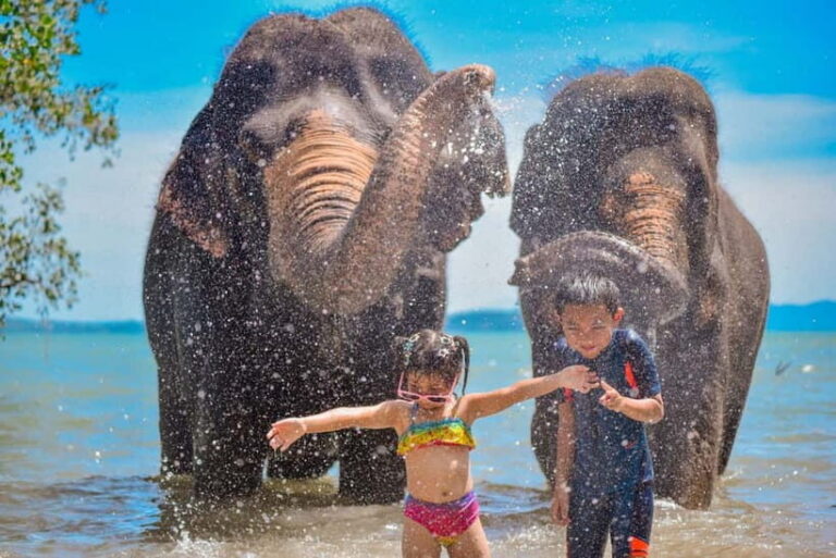 Phuket:Beach walk with elephants, rain & care. 2.5 hours - Your 2.5-hour flow: walking, sea time, and a rainshower reset
