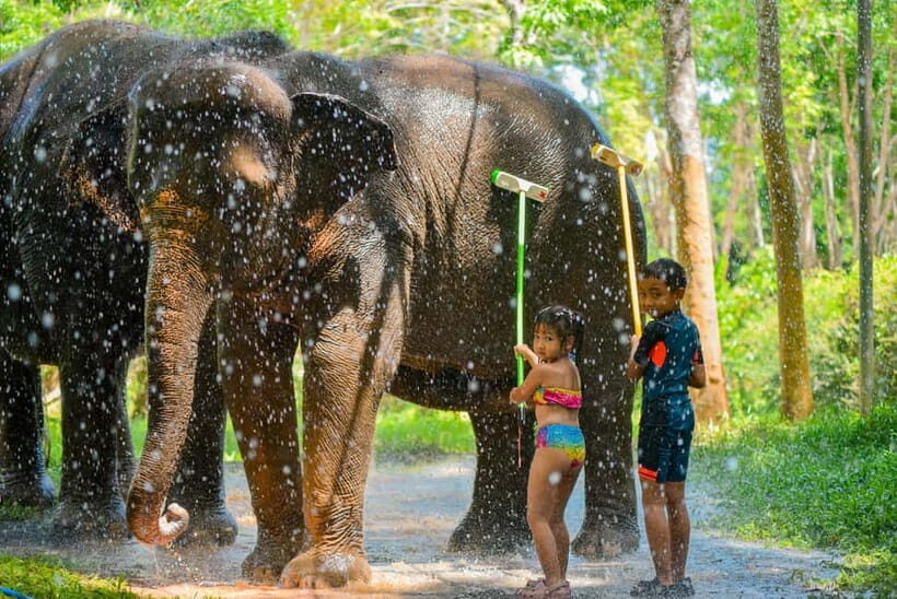 Phuket:Beach walk with elephants, rain & care. 2.5 hours - Ethics and expectations: what an ethical sanctuary-style day actually feels like