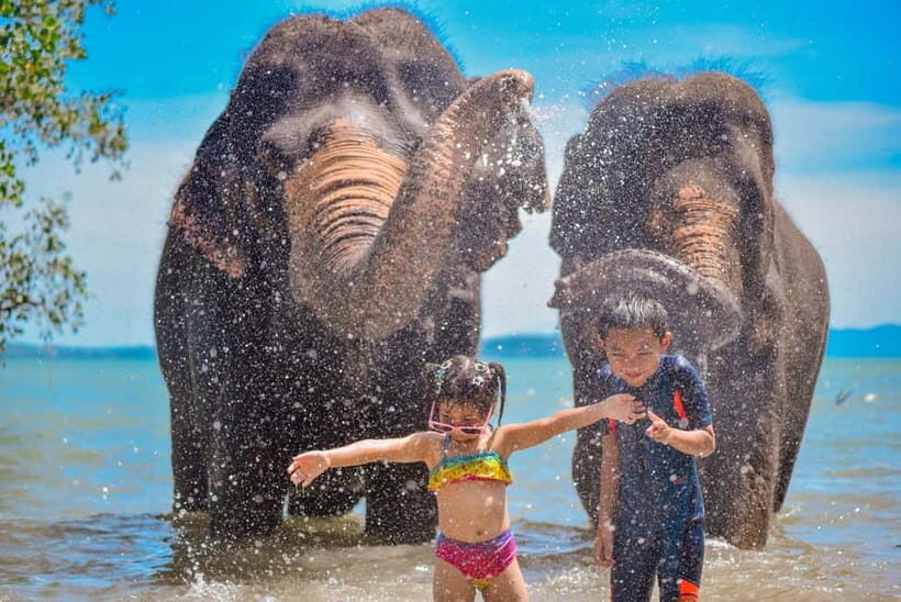 Phuket:Beach walk with elephants, rain & care. 2.5 hours - Your 2.5-hour flow: walking, sea time, and a rainshower reset