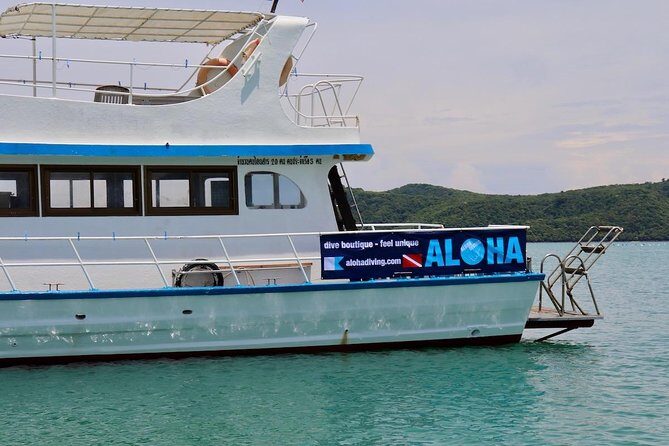 Premium Guided Scuba Diving Day Trip for Certified Divers - Meet the crew: Alice, Simon, and Mona in charge