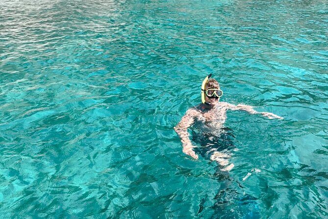 Private Boat Tour with Dolphin Spotting and Snorkelling from Phuket - Mai Ton (Honeymoon Island): dolphins from the boat, plus coral and fish