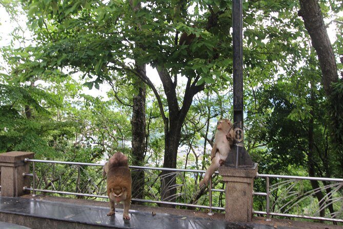 Private food Tour + Sightseeing +Thai Cooking class - English Guide, Small Group, and the Comfort Factor