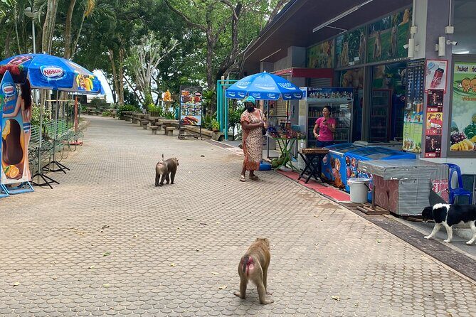 Private local city tour with english speaking driver - Big Buddha Phuket: one stop that changes your sense of the island