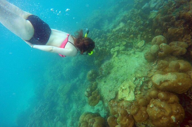 Private Speedboat Maiton, Racha, and Coral Islands Tour from Phuket - Stop 3: Coral Island (Koh Hae) and Beach Activities Galore