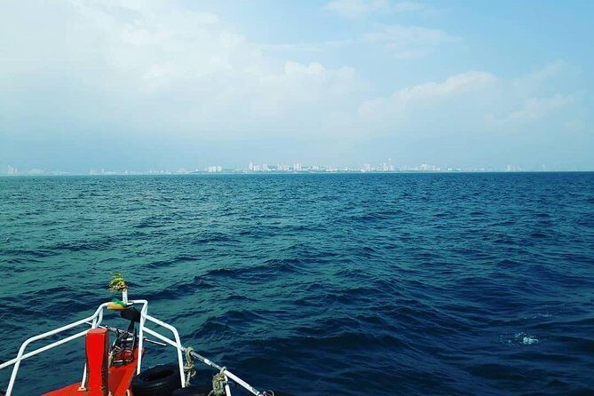 Racha & Coral Island Day Trip by Speedboat - Lunch Included - Who this tour is best for (and who should skip it)