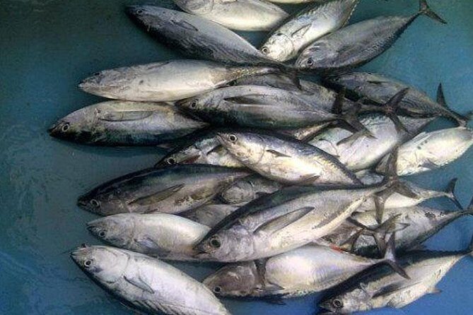 Racha Island Game Fishing & Trolling From Phuket - The day plan: Phuket fishing grounds to Koh Racha Yai