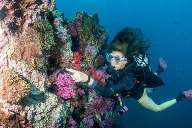 Scuba Diving Daytrip to Racha Yai - Price and Value: What $90 Really Buys You (and What It Doesn’t)