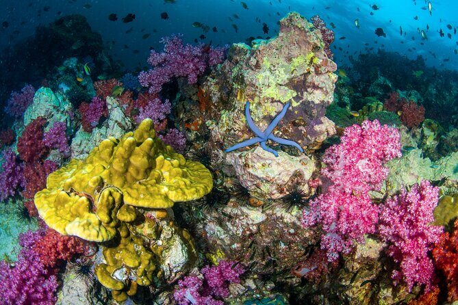 Scuba Diving Daytrip to Racha Yai - Snorkelers Get a Chance Too