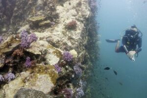 Scuba Diving in Phuket – Full-Day Trip (3 Dives, All Included) - Getting there at 7:00am: pickup zones and timing reality