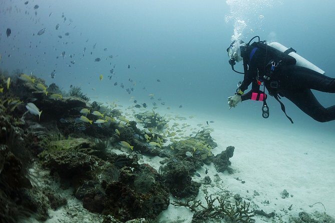 Scuba Diving in Phuket – Full-Day Trip (3 Dives, All Included) - Phuket Marine Park: where the reef-to-fish mix feels more personal