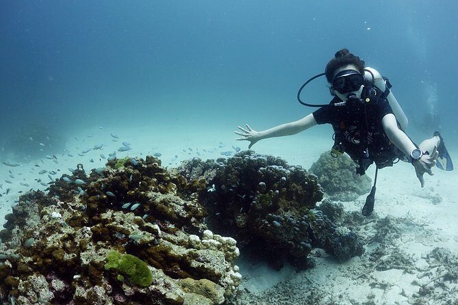 Scuba Diving in Phuket – Full-Day Trip (3 Dives, All Included) - Phi Phi Islands: the big-name stop and the one fee you must budget
