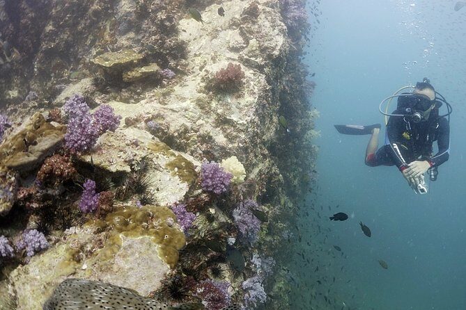Scuba Diving in Phuket – Full-Day Trip (3 Dives, All Included) - Getting there at 7:00am: pickup zones and timing reality