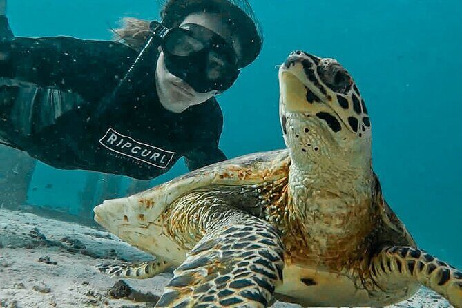 Similan Islands Private Tour - Koh Miang (Island No. 4) snorkeling in Similan National Park