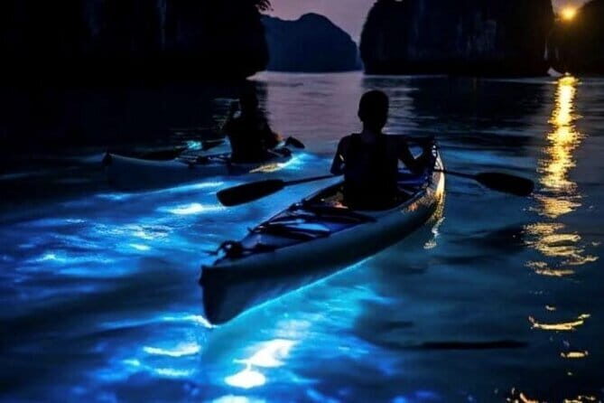Small Group Bioluminescent Canoe&Twilight Adventure Phang Nga Bay - Key Things I’d Put on Your Must-Do List