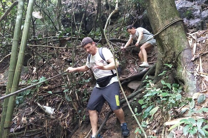Small-Group Jungle Hiking Excursion in Khao Phra Teaw Park - Why Khao Phra Teaw feels more real than the usual Phuket day