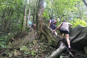 Small-Group Jungle Hiking Excursion in Khao Phra Teaw Park - Getting to the park: pickup zones, start time, and the 9:00 am mindset