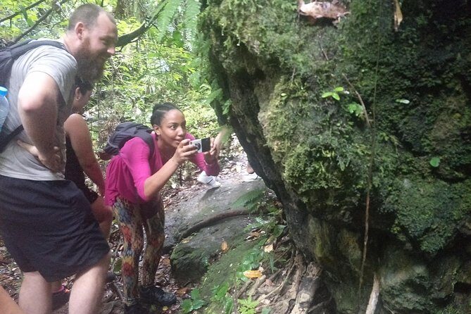 Small-Group Jungle Hiking Excursion in Khao Phra Teaw Park - Lunch in a Thai restaurant: why it’s more than “food at the end”