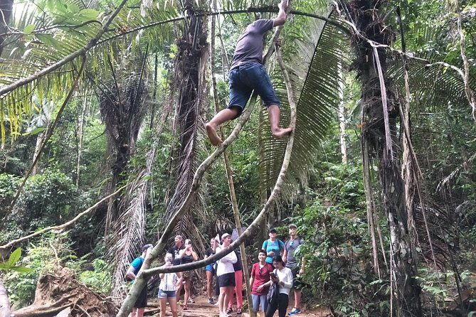 Small-Group Jungle Hiking Excursion in Khao Phra Teaw Park - Price and value in Phuket: what you’re paying for