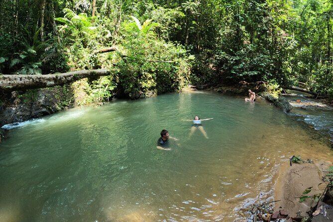Small-Group Jungle Hiking Excursion in Khao Phra Teaw Park - Who should book this jungle hike (and who shouldn’t)