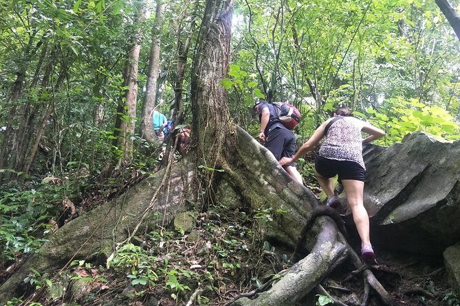 Small-Group Jungle Hiking Excursion in Khao Phra Teaw Park - Getting to the park: pickup zones, start time, and the 9:00 am mindset