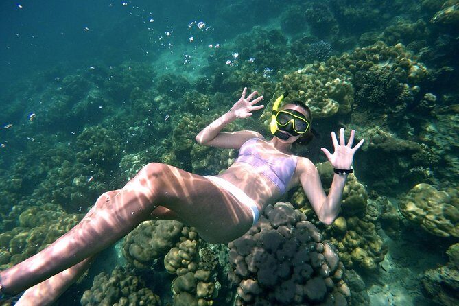 Small Groups of 20 people - Phi Phi & Bamboo Islands with Lunch - First Look: A 20-Person Speedboat Day From Phuket