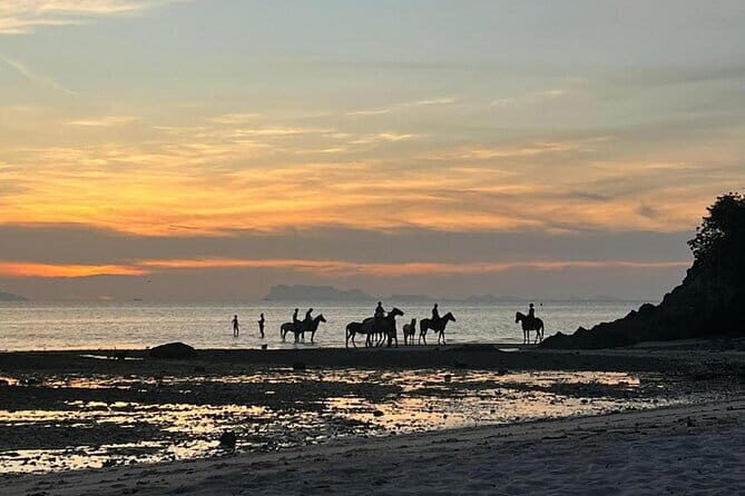Sunset Beach Horseback Ride Phuket - The 5:00 pm Route: Gardens First, Then Nai Yang Beach