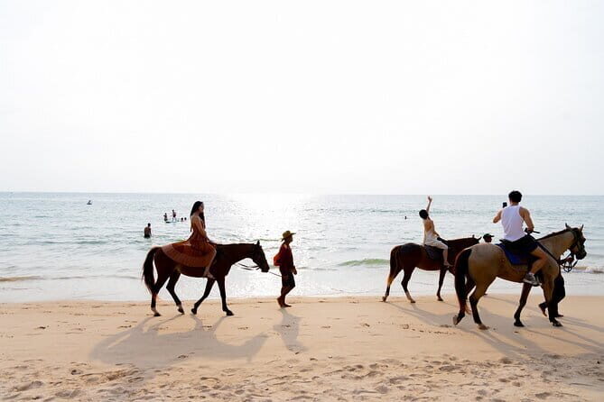 Sunset Beach Horseback Ride Phuket - Who This Sunset Beach Ride Suits Best (And Who Might Skip It)