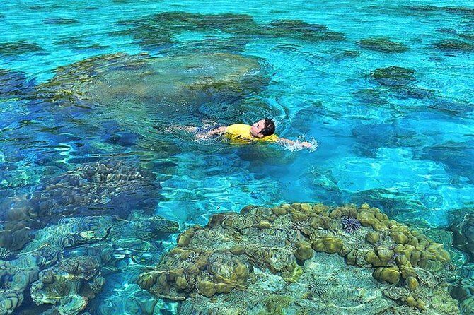 Surin Islands Snorkeling Day Trip By Love Andaman From Phuket - Price and value: what $135.37 really covers (and what to add)