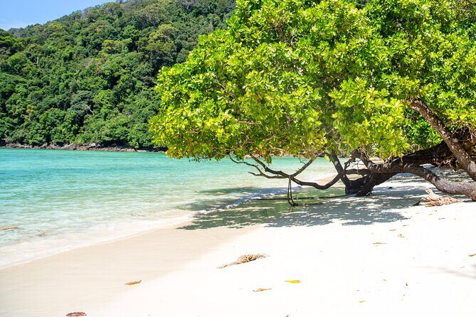 Surin Islands Snorkeling Trip from Phuket - Lunch at the Park Canteen: What’s Included, What to Watch