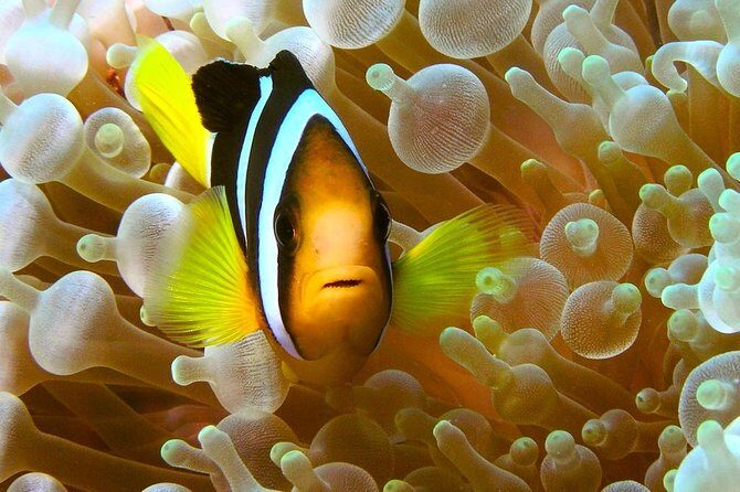 Try Scuba Diving - Who should book this experience, and who should think twice
