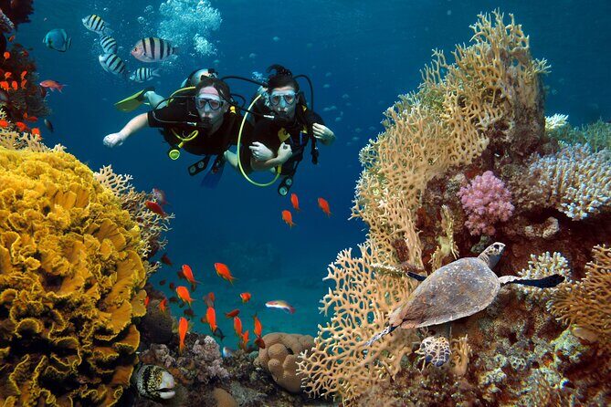 Try Scuba Diving in Racha Yai and Noi for Non-Certified - Key things to know before you go