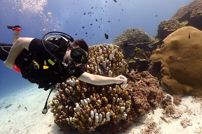 Try Scuba Diving in Racha Yai and Noi for Non-Certified - Try Scuba in Phuket’s Racha Yai and Racha Noi: What You’re Really Signing Up For