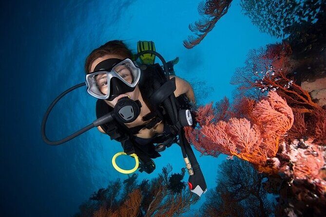 Try Scuba Diving in Racha Yai and Noi for Non-Certified - Koh Racha Noi: Your Second Underwater Session and Why Two Times Matters