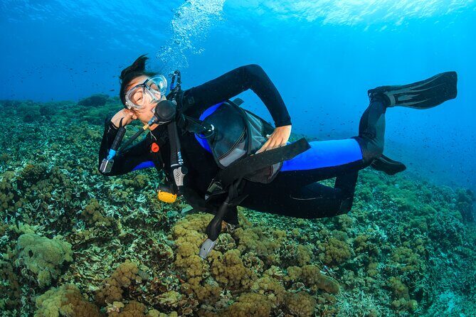 Try Scuba Diving in Racha Yai and Noi for Non-Certified - Price and Value: What $174.95 Covers (and What Costs Extra)