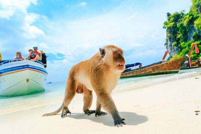 VIP Private Boat to Phi Phi Island: Snorkeling + Land Tour - Nui Beach: The Short, Quiet Jungle-to-Sand Turn