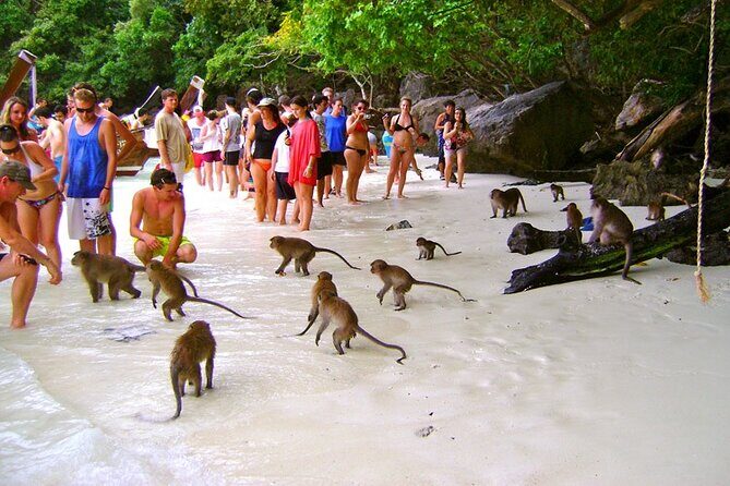 VIP Private Boat to Phi Phi Island: Snorkeling + Land Tour - Pileh Lagoon: The Emerald-Water Bay Between the Icons