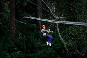 World B+ (Zipline 18 Platforms + Roller + Sky Walk with World Set Menu ) - Roller Zipline 800m: the ride that sells this package