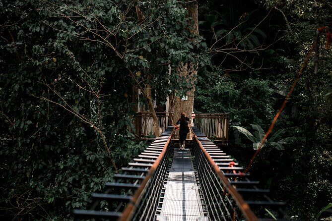 World B+ (Zipline 18 Platforms + Roller + Sky Walk with World Set Menu ) - Abseils and the spiral staircase: adrenaline with control
