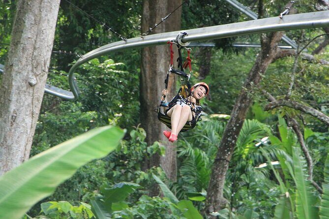 World B+ (Zipline 18 Platforms + Roller + Sky Walk with World Set Menu ) - Price and value of World B+ at about $97.51