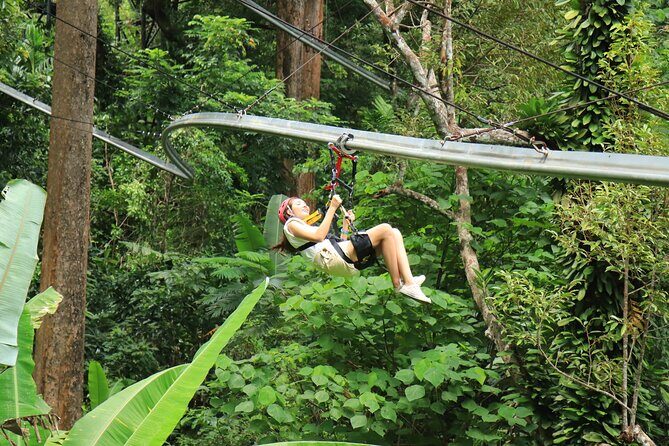 World C+ (Ziplines 10 Platforms + Roller + Sky Walk and World Set Menu ) - Sky Walk over the forest canopy: the calm contrast